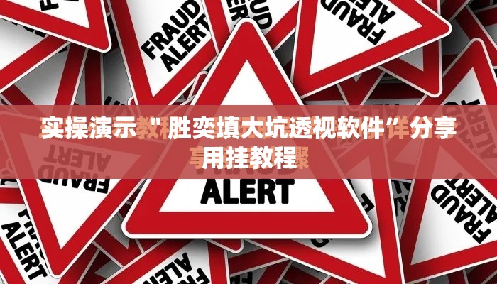 实操演示 ＂胜奕填大坑透视软件	”分享用挂教程