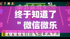 终于知道了 ＂微信微乐河南麻将有挂吗”(透视挂)最新辅助详细教程