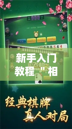 新手入门教程 ＂相约十三水怎么开挂”(原来确实是有插件)