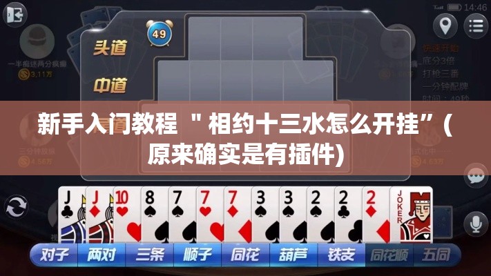 新手入门教程 ＂相约十三水怎么开挂”(原来确实是有插件)