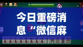 今日重磅消息“微信麻将小程序万能开挂器”(透视挂)最新辅助详细教程