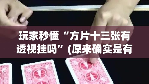 玩家秒懂“方片十三张有透视挂吗	”(原来确实是有挂)