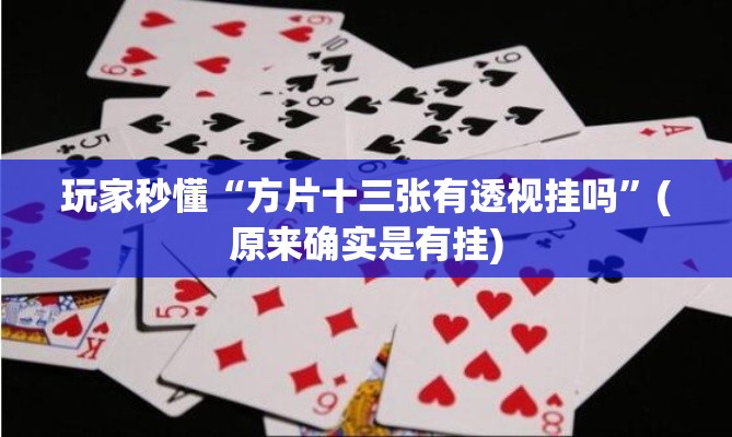 玩家秒懂“方片十三张有透视挂吗”(原来确实是有挂)