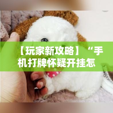 【玩家新攻略】“手机打牌怀疑开挂怎么查”详细外挂透视辅助软件教程
