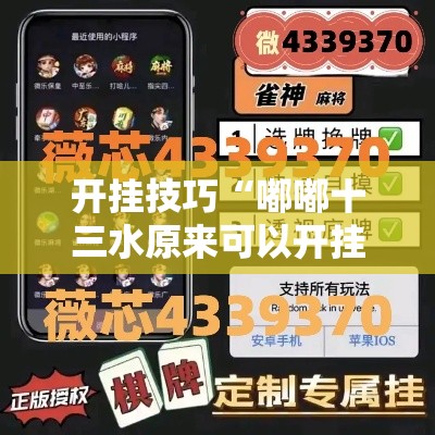 开挂技巧“嘟嘟十三水原来可以开挂	”详细开挂安装教程
