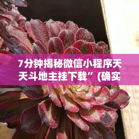 7分钟揭秘微信小程序天天斗地主挂下载”(确实是有挂)知乎