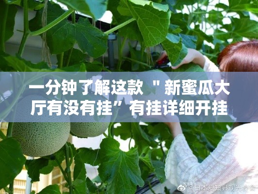 一分钟了解这款 ＂新蜜瓜大厅有没有挂”有挂详细开挂教程