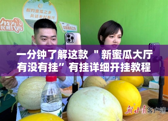 一分钟了解这款 ＂新蜜瓜大厅有没有挂”有挂详细开挂教程