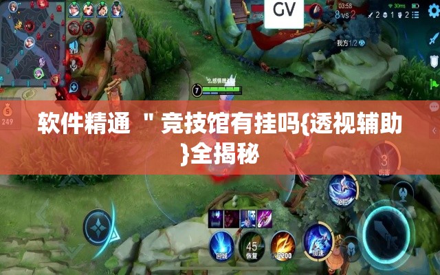 软件精通 ＂竞技馆有挂吗{透视辅助}全揭秘