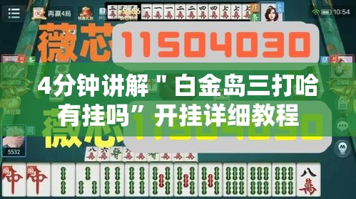 4分钟讲解＂白金岛三打哈有挂吗”开挂详细教程