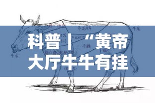 科普｜“黄帝大厅牛牛有挂吗	”实测确实有挂
