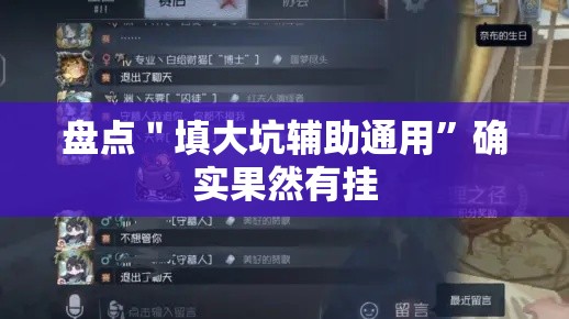 盘点＂填大坑辅助通用”确实果然有挂