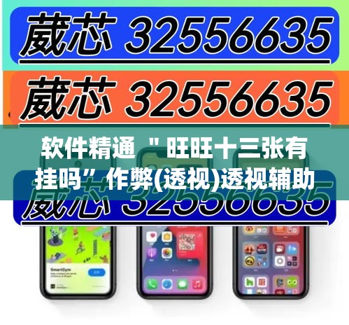 软件精通 ＂旺旺十三张有挂吗”作弊(透视)透视辅助