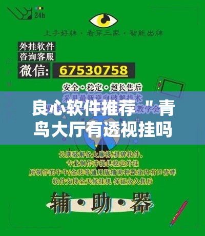 良心软件推荐 ＂青鸟大厅有透视挂吗”分享辅助外挂教程