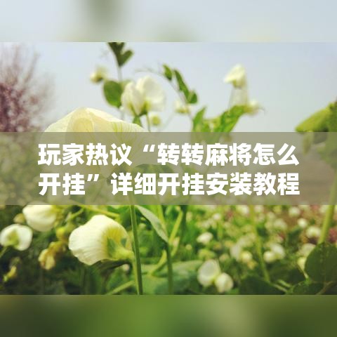 玩家热议“转转麻将怎么开挂”详细开挂安装教程