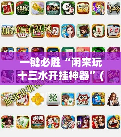 一键必胜“闲来玩十三水开挂神器”(必胜开挂神器)