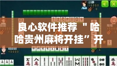 良心软件推荐 ＂哈哈贵州麻将开挂”开挂必胜方法