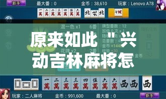 原来如此 ＂兴动吉林麻将怎么打才会赢”附开挂脚本详细教程