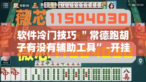 软件冷门技巧 ＂常德跑胡子有没有辅助工具”-开挂神器-包教包会