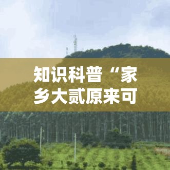 知识科普“家乡大贰原来可以开挂”事实上真的有挂
